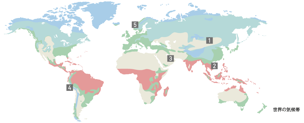 世界の気候帯